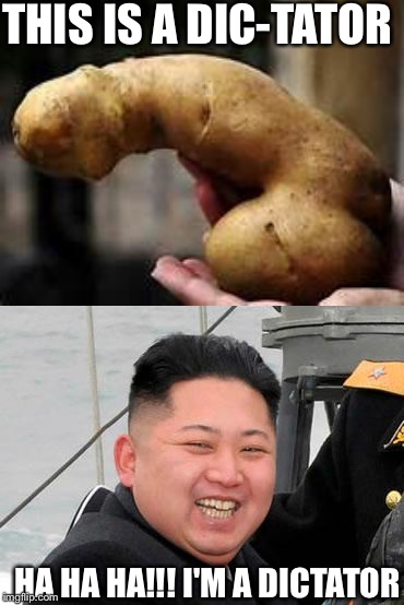 I guess 10 guy would be a "baked" tator lol | THIS IS A DIC-TATOR; HA HA HA!!! I'M A DICTATOR | image tagged in memes | made w/ Imgflip meme maker