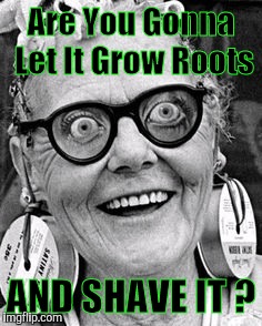 May Day! May Day ! | Are You Gonna Let It Grow Roots AND SHAVE IT ? | image tagged in may day may day | made w/ Imgflip meme maker