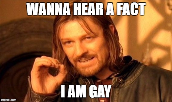 One Does Not Simply | WANNA HEAR A FACT; I AM GAY | image tagged in memes,one does not simply | made w/ Imgflip meme maker