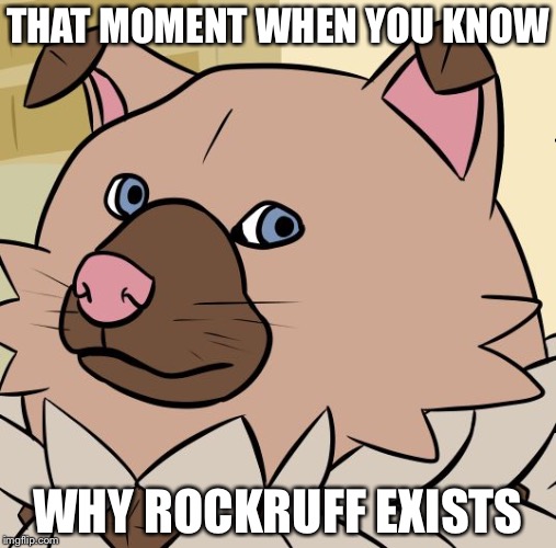 THAT MOMENT WHEN YOU KNOW; WHY ROCKRUFF EXISTS | image tagged in rockruff meme | made w/ Imgflip meme maker