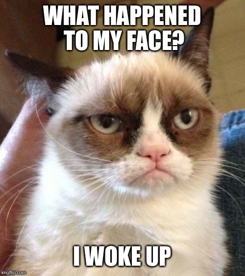 Grumpy Cat Reverse Meme | WHAT HAPPENED TO MY FACE? I WOKE UP | image tagged in memes,grumpy cat reverse,grumpy cat | made w/ Imgflip meme maker