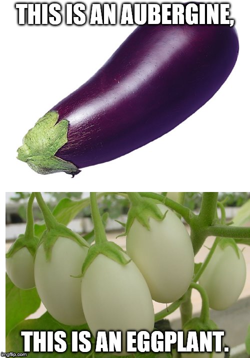 Eggplant | THIS IS AN AUBERGINE, THIS IS AN EGGPLANT. | image tagged in eggplant,aubergine | made w/ Imgflip meme maker