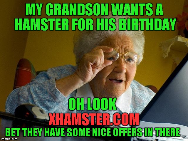 Grandma Finds The Internet Meme | MY GRANDSON WANTS A HAMSTER FOR HIS BIRTHDAY; OH LOOK; XHAMSTER.COM; BET THEY HAVE SOME NICE OFFERS IN THERE | image tagged in memes,grandma finds the internet | made w/ Imgflip meme maker