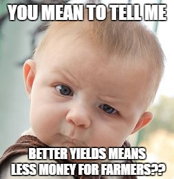 Skeptical Baby Meme | YOU MEAN TO TELL ME; BETTER YIELDS MEANS LESS MONEY FOR FARMERS?? | image tagged in memes,skeptical baby | made w/ Imgflip meme maker