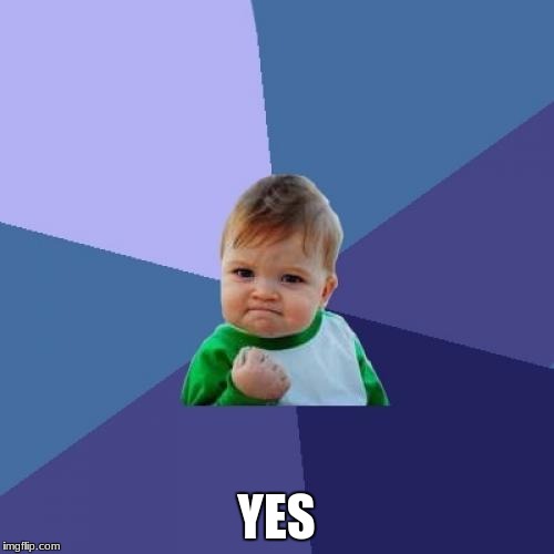 Success Kid Meme | YES | image tagged in memes,success kid | made w/ Imgflip meme maker