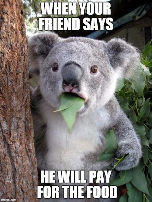Surprised Koala | WHEN YOUR FRIEND SAYS; HE WILL PAY FOR THE FOOD | image tagged in memes,surprised koala | made w/ Imgflip meme maker