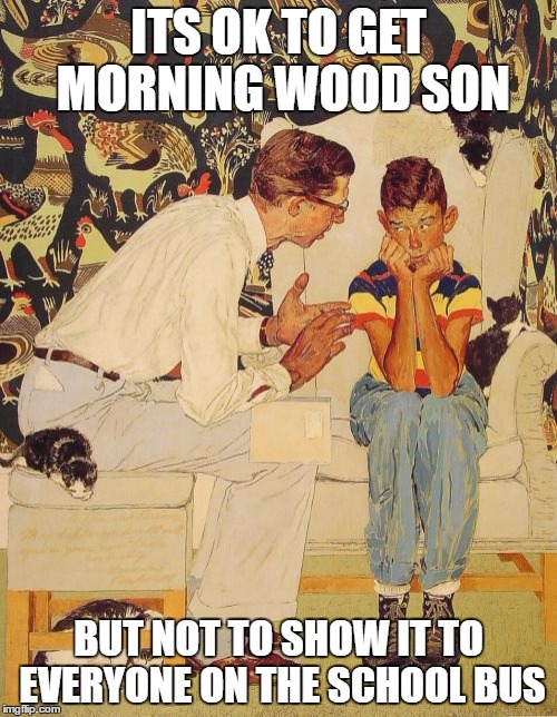 The Problem Is | ITS OK TO GET MORNING WOOD SON; BUT NOT TO SHOW IT TO EVERYONE ON THE SCHOOL BUS | image tagged in memes,the probelm is | made w/ Imgflip meme maker