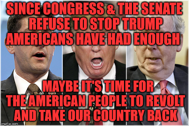 Republicans1234 | SINCE CONGRESS & THE SENATE REFUSE TO STOP TRUMP AMERICANS HAVE HAD ENOUGH; MAYBE IT'S TIME FOR THE AMERICAN PEOPLE TO REVOLT AND TAKE OUR COUNTRY BACK | image tagged in republicans1234 | made w/ Imgflip meme maker