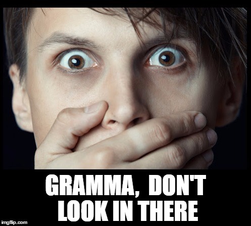 oh my | GRAMMA,  DON'T LOOK IN THERE | image tagged in oh my | made w/ Imgflip meme maker