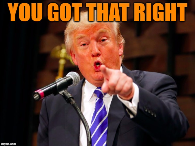 trump point | YOU GOT THAT RIGHT | image tagged in trump point | made w/ Imgflip meme maker