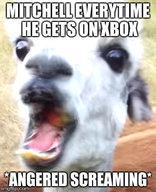 MITCHELL EVERYTIME HE GETS ON XBOX; *ANGERED SCREAMING* | image tagged in xbox,mitchell,screaming | made w/ Imgflip meme maker