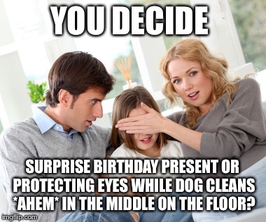 overprotective parents 5 | YOU DECIDE; SURPRISE BIRTHDAY PRESENT OR PROTECTING EYES WHILE DOG CLEANS *AHEM* IN THE MIDDLE ON THE FLOOR? | image tagged in overprotective parents 5 | made w/ Imgflip meme maker