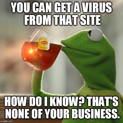 But That's None Of My Business Meme | YOU CAN GET A VIRUS FROM THAT SITE HOW DO I KNOW? THAT'S NONE OF YOUR BUSINESS. | image tagged in memes,but thats none of my business,kermit the frog | made w/ Imgflip meme maker