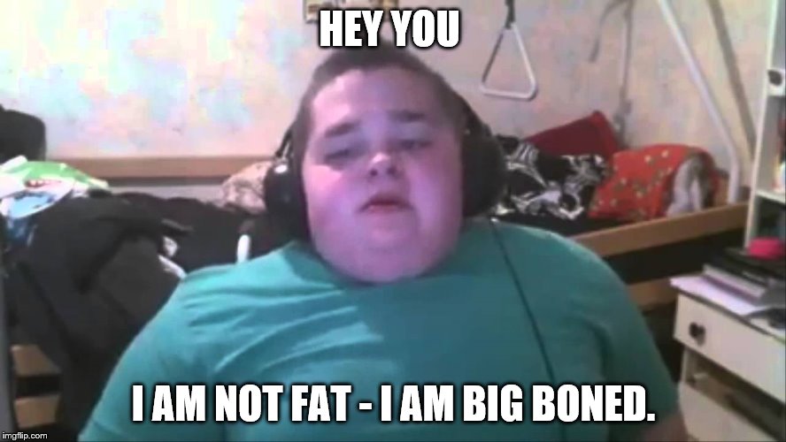 HEY YOU; I AM NOT FAT - I AM BIG BONED. | image tagged in i am big bones not fat | made w/ Imgflip meme maker