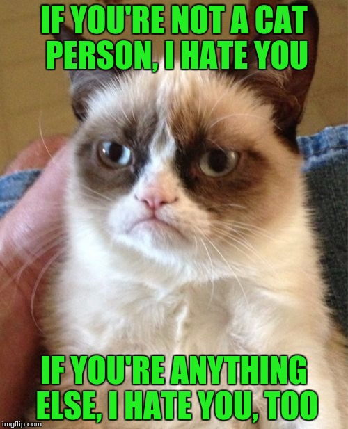 Grumpy Cat | IF YOU'RE NOT A CAT PERSON, I HATE YOU; IF YOU'RE ANYTHING ELSE, I HATE YOU, TOO | image tagged in memes,grumpy cat | made w/ Imgflip meme maker