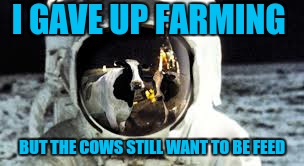 I GAVE UP FARMING BUT THE COWS STILL WANT TO BE FEED | made w/ Imgflip meme maker