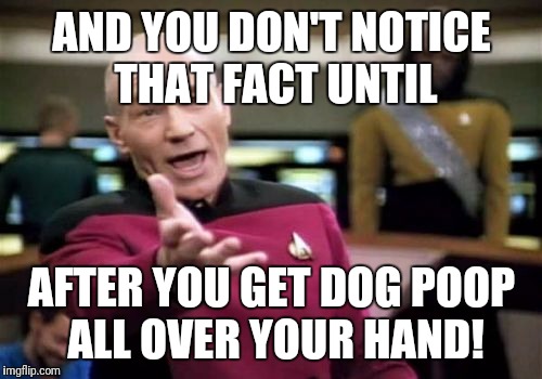 Picard Wtf Meme | AND YOU DON'T NOTICE THAT FACT UNTIL AFTER YOU GET DOG POOP ALL OVER YOUR HAND! | image tagged in memes,picard wtf | made w/ Imgflip meme maker