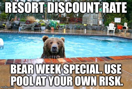 Pool Bear | RESORT DISCOUNT RATE; BEAR WEEK SPECIAL. USE POOL AT YOUR OWN RISK. | image tagged in pool bear | made w/ Imgflip meme maker