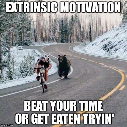 Bike Bear | EXTRINSIC MOTIVATION; BEAT YOUR TIME OR GET EATEN TRYIN' | image tagged in bike bear | made w/ Imgflip meme maker