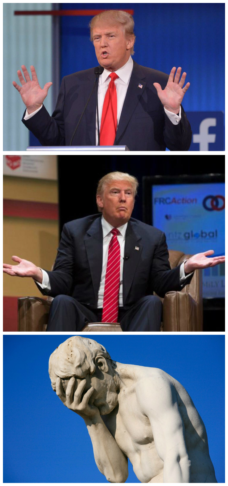Trump Facepalm Blank Meme Template