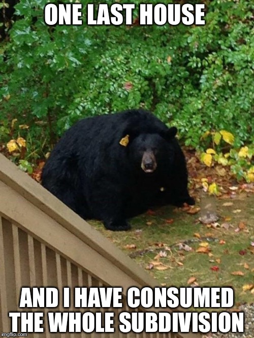 fat bear | ONE LAST HOUSE; AND I HAVE CONSUMED THE WHOLE SUBDIVISION | image tagged in fat bear | made w/ Imgflip meme maker