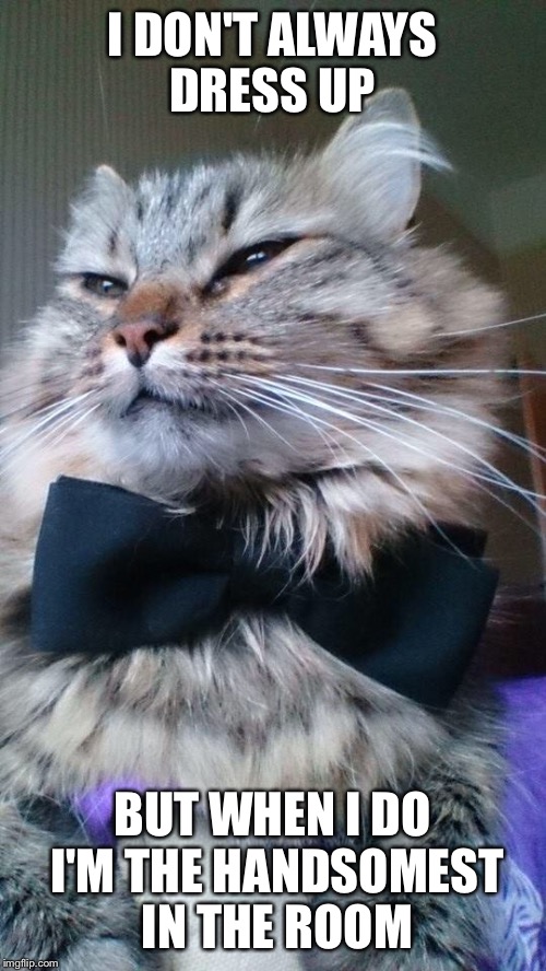 jelly'bear tux  | I DON'T ALWAYS DRESS UP; BUT WHEN I DO I'M THE HANDSOMEST IN THE ROOM | image tagged in jelly'bear tux | made w/ Imgflip meme maker