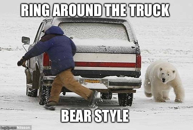 Polar Bear Day | RING AROUND THE TRUCK; BEAR STYLE | image tagged in polar bear day | made w/ Imgflip meme maker