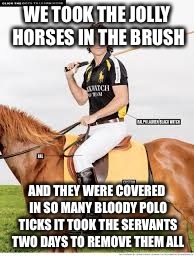 WE TOOK THE JOLLY HORSES IN THE BRUSH AND THEY WERE COVERED IN SO MANY BLOODY POLO TICKS IT TOOK THE SERVANTS TWO DAYS TO REMOVE THEM ALL | made w/ Imgflip meme maker
