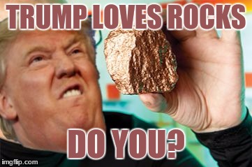 Trump loves rocks | TRUMP LOVES ROCKS; DO YOU? | image tagged in trump loves rocks | made w/ Imgflip meme maker