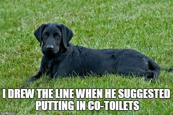 I DREW THE LINE WHEN HE SUGGESTED PUTTING IN CO-TOILETS | made w/ Imgflip meme maker