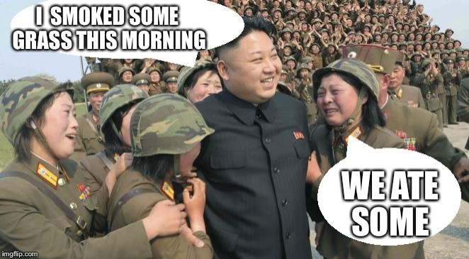 north korea cry | I  SMOKED SOME GRASS THIS MORNING; WE ATE SOME | image tagged in north korea cry | made w/ Imgflip meme maker