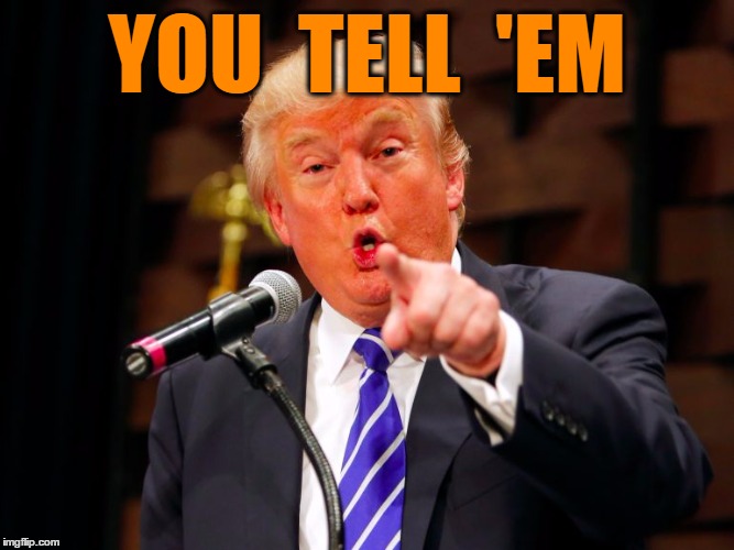 trump point | YOU  TELL  'EM | image tagged in trump point | made w/ Imgflip meme maker