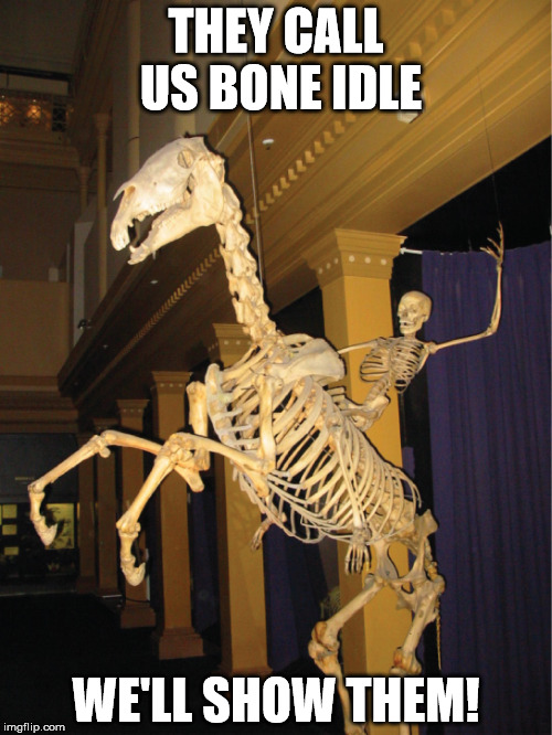 Just found this image in my downloads, thought it would make a good submission. | THEY CALL US BONE IDLE; WE'LL SHOW THEM! | image tagged in yee-ha skeletons,memes,skeletons | made w/ Imgflip meme maker
