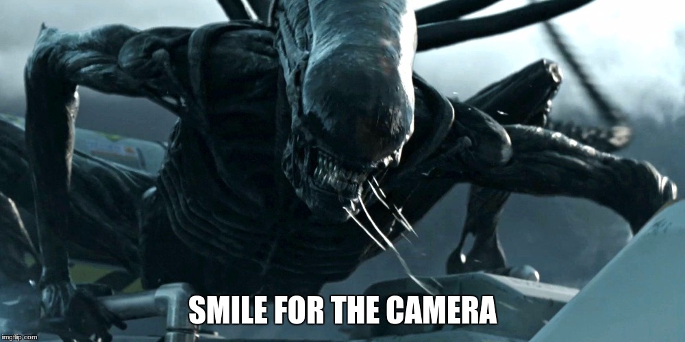 Hungry Xenomorph Gourmet | SMILE FOR THE CAMERA | image tagged in hungry xenomorph gourmet | made w/ Imgflip meme maker