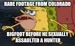 Spongegar | RARE FOOTAGE FROM COLORADO; BIGFOOT BEFORE HE SEXUALLY ASSAULTED A HUNTER | image tagged in memes,spongegar | made w/ Imgflip meme maker