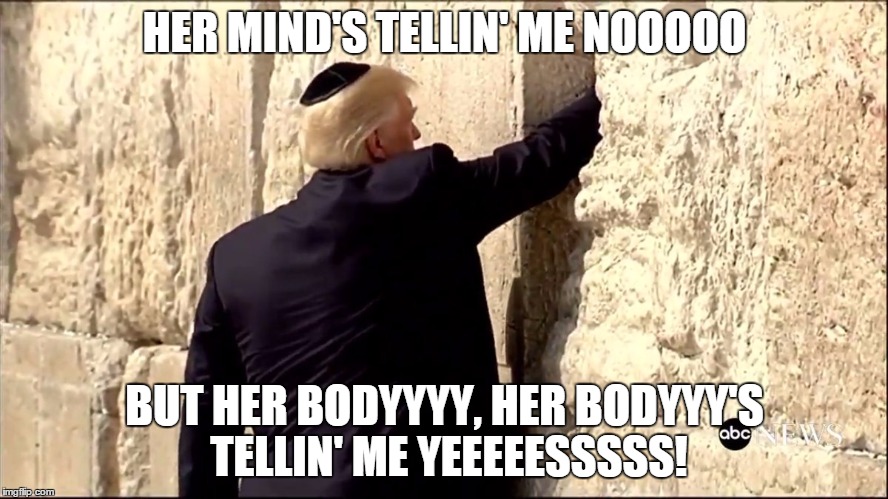 Trump Wall | HER MIND'S TELLIN' ME NOOOOO; BUT HER BODYYYY, HER BODYYY'S TELLIN' ME YEEEEESSSSS! | image tagged in trump wall | made w/ Imgflip meme maker