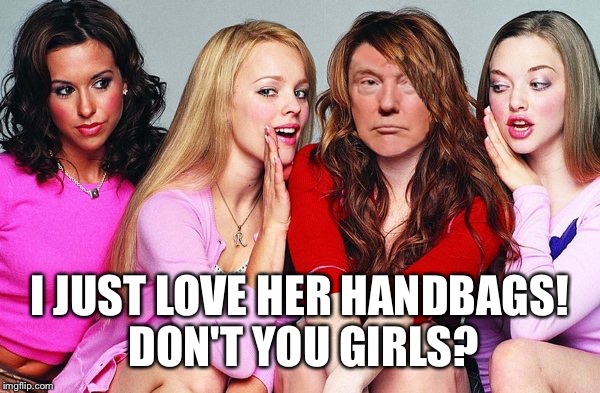 I JUST LOVE HER HANDBAGS! DON'T YOU GIRLS? | made w/ Imgflip meme maker