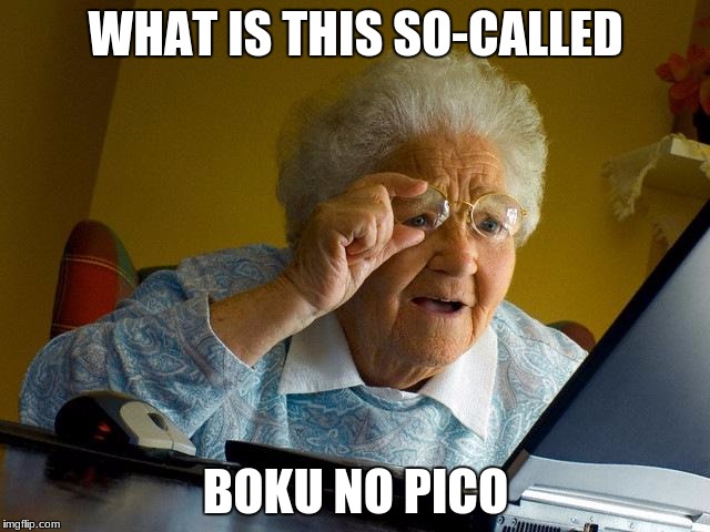 Grandma Finds The Internet | WHAT IS THIS SO-CALLED; BOKU NO PICO | image tagged in memes,grandma finds the internet | made w/ Imgflip meme maker