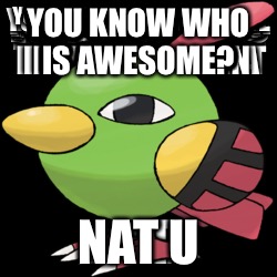 YOU KNOW WHO IS AWESOME? NAT U | made w/ Imgflip meme maker