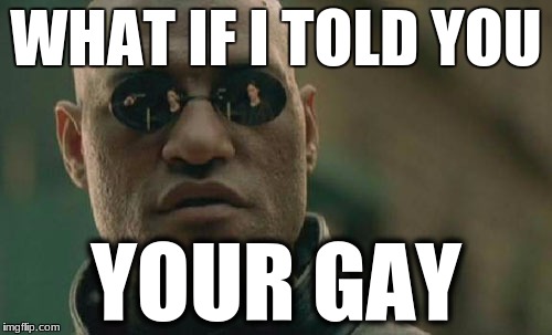 Matrix Morpheus Meme | WHAT IF I TOLD YOU; YOUR GAY | image tagged in memes,matrix morpheus | made w/ Imgflip meme maker