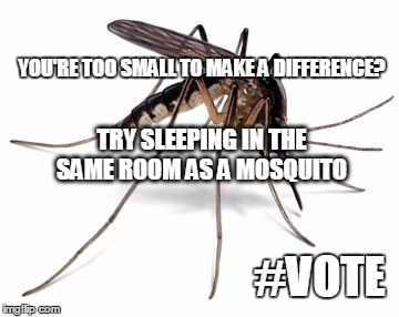 YOU'RE TOO SMALL TO MAKE A DIFFERENCE? TRY SLEEPING IN THE SAME ROOM AS A MOSQUITO; #VOTE | image tagged in mosquito | made w/ Imgflip meme maker