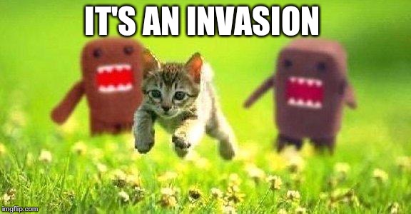 Kittens Running from Domo |  IT'S AN INVASION | image tagged in kittens running from domo | made w/ Imgflip meme maker