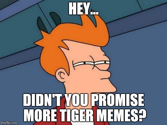 Futurama Fry Meme | HEY... DIDN'T YOU PROMISE MORE TIGER MEMES? | image tagged in memes,futurama fry | made w/ Imgflip meme maker