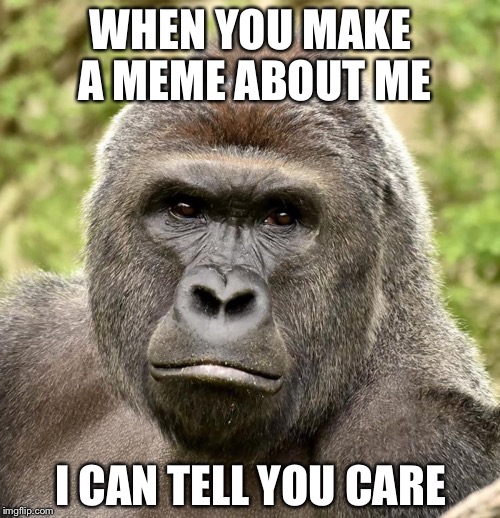 Har | WHEN YOU MAKE A MEME ABOUT ME I CAN TELL YOU CARE | image tagged in har | made w/ Imgflip meme maker