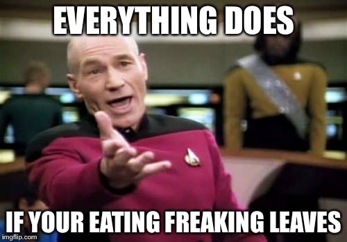Picard Wtf Meme | EVERYTHING DOES IF YOUR EATING FREAKING LEAVES | image tagged in memes,picard wtf | made w/ Imgflip meme maker