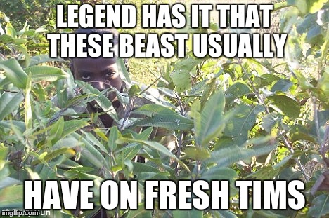 LEGEND HAS IT THAT THESE BEAST USUALLY; HAVE ON FRESH TIMS | image tagged in memes,meme,funny,black people,overwatch | made w/ Imgflip meme maker