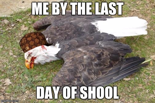windmill killing eagles | ME BY THE LAST; DAY OF SHOOL | image tagged in windmill killing eagles,scumbag | made w/ Imgflip meme maker