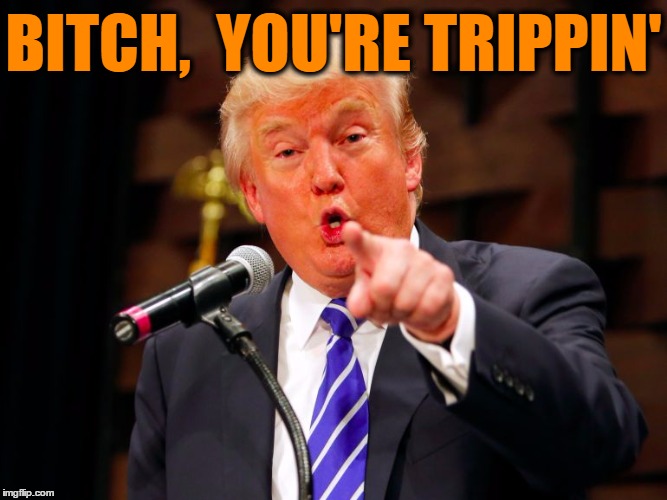 trump point | B**CH,  YOU'RE TRIPPIN' | image tagged in trump point | made w/ Imgflip meme maker