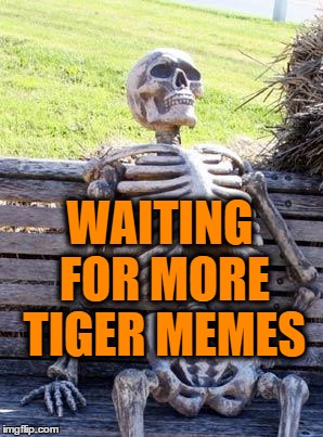 Waiting Skeleton Meme | WAITING FOR MORE TIGER MEMES | image tagged in memes,waiting skeleton | made w/ Imgflip meme maker