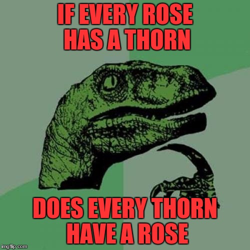 Maybe... |  IF EVERY ROSE HAS A THORN; DOES EVERY THORN HAVE A ROSE | image tagged in memes,rose,thorns,roses | made w/ Imgflip meme maker